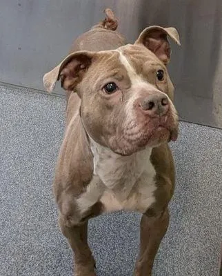 Sparkles thumbnail 3