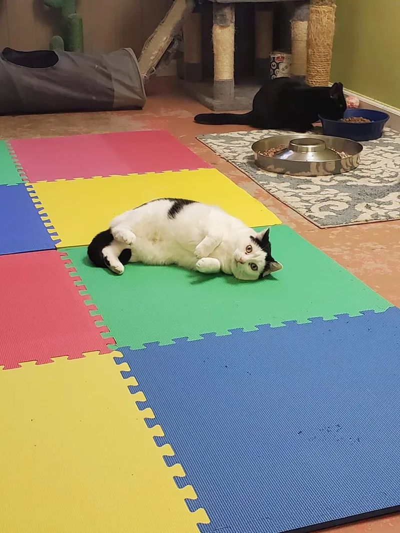 Don't Touch Me thumbnail 2