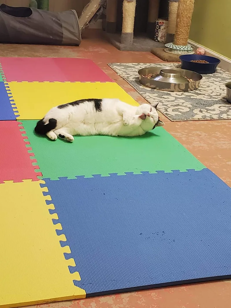 Don't Touch Me thumbnail 3