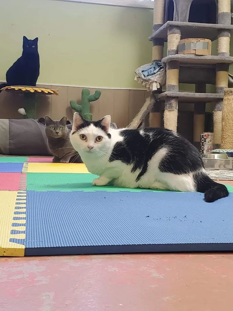 Don't Touch Me thumbnail 4