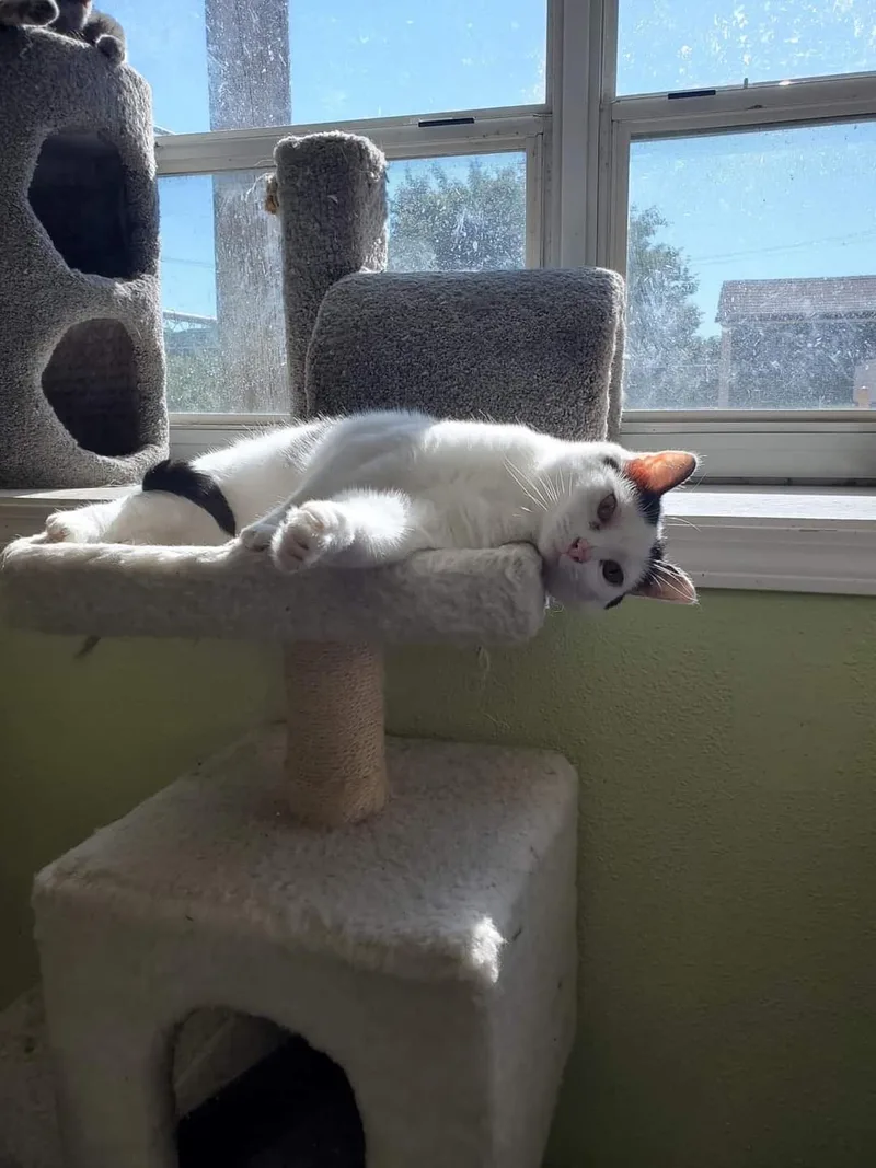 Don't Touch Me thumbnail 5