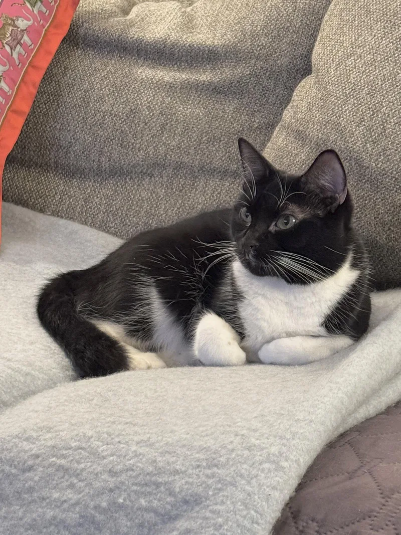 Polly And Caspian thumbnail 3