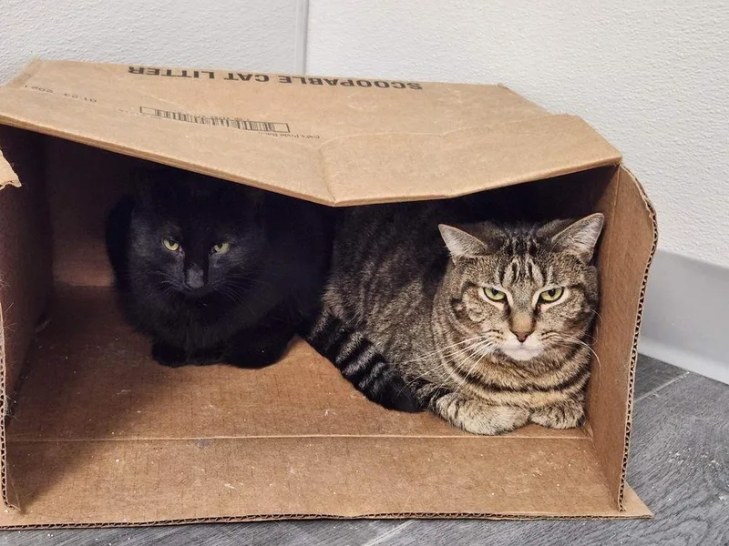 Hercules thumbnail 2