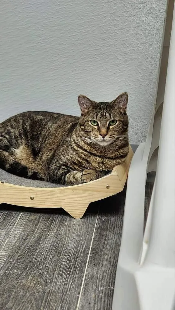 Hercules thumbnail 3