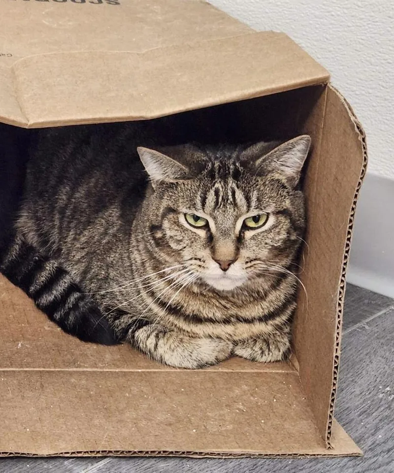 Hercules thumbnail 4