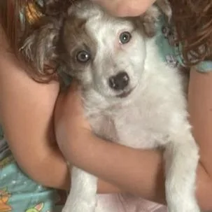 Tena