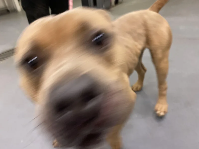 Buster thumbnail 2