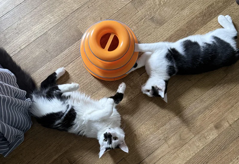 Jimmy And Derrick Bonded