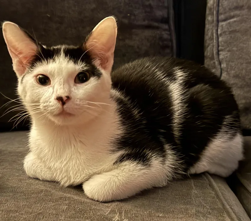 Jimmy And Derrick Bonded thumbnail 3