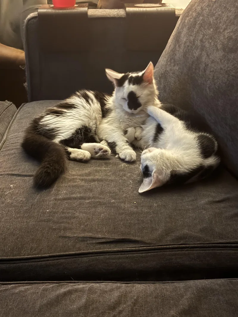 Jimmy And Derrick Bonded thumbnail 4