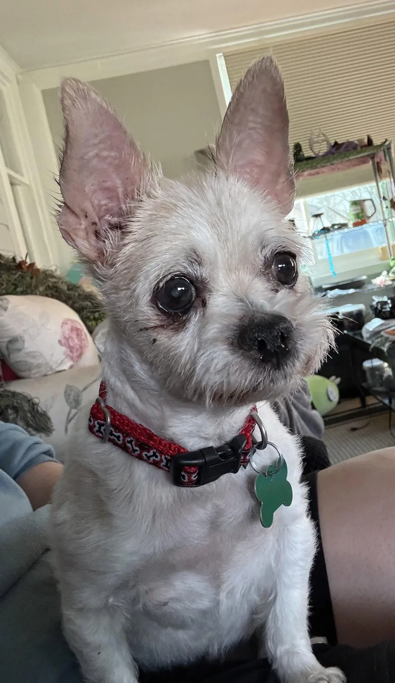 Gabby ♥ thumbnail 2