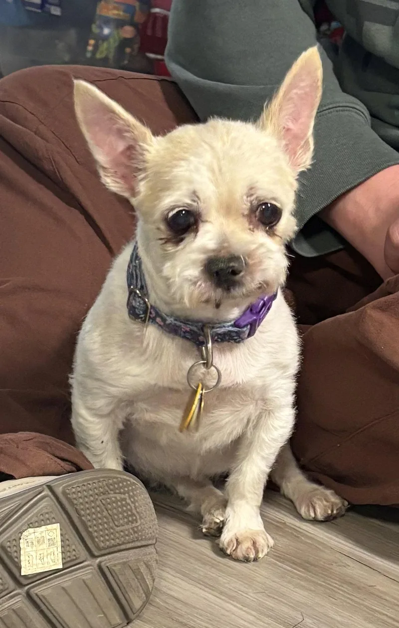 Gabby ♥ thumbnail 3