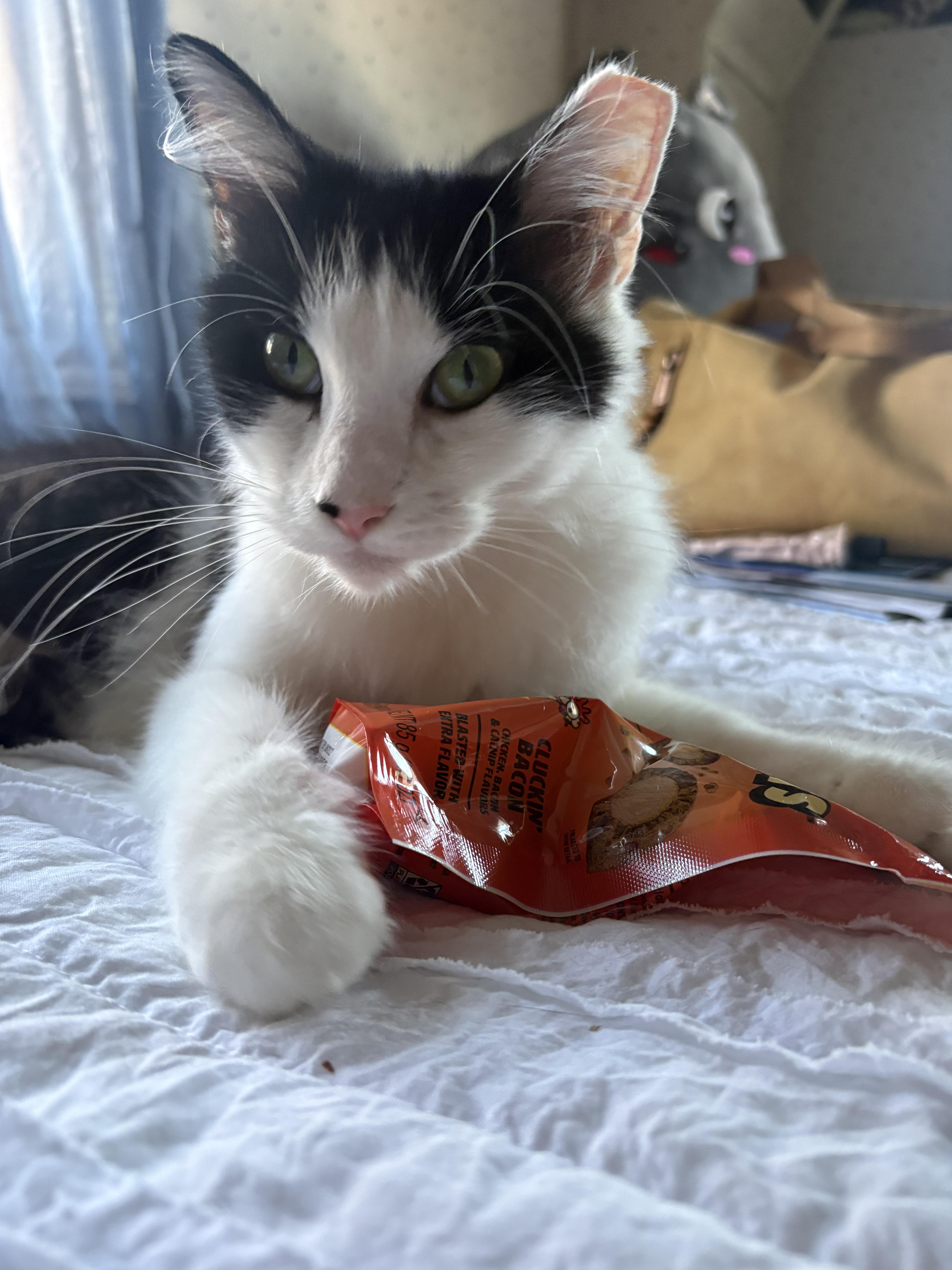 Cookie thumbnail 2