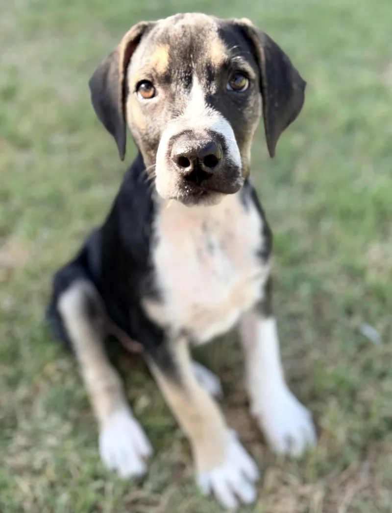 Zeke