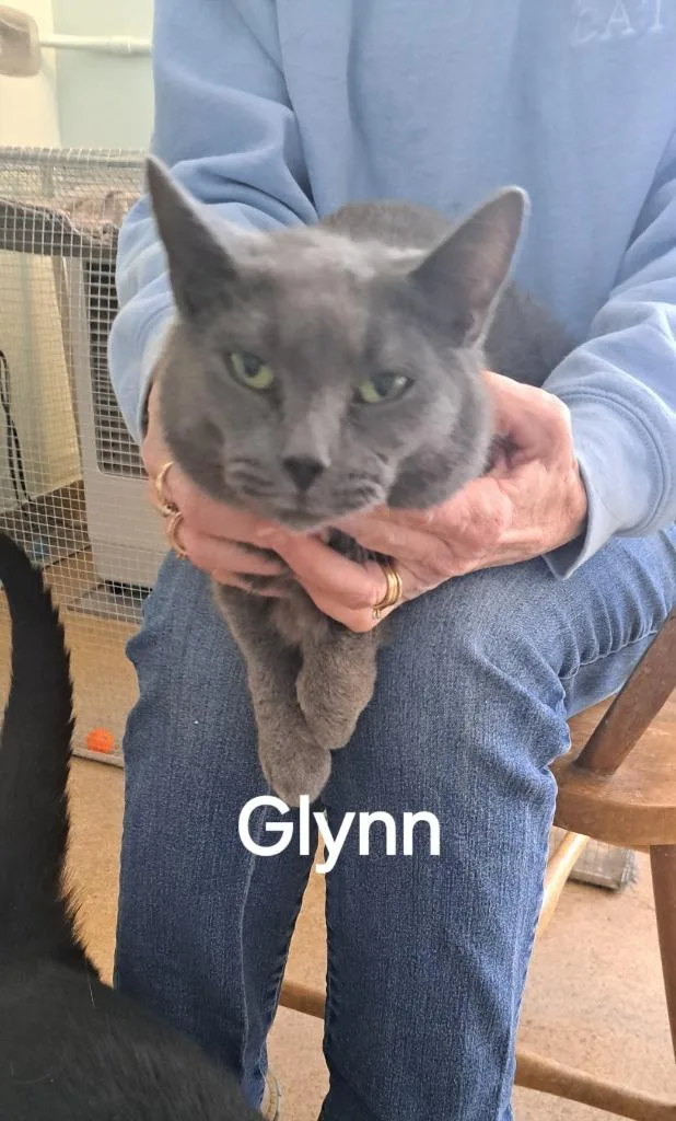 Glynn