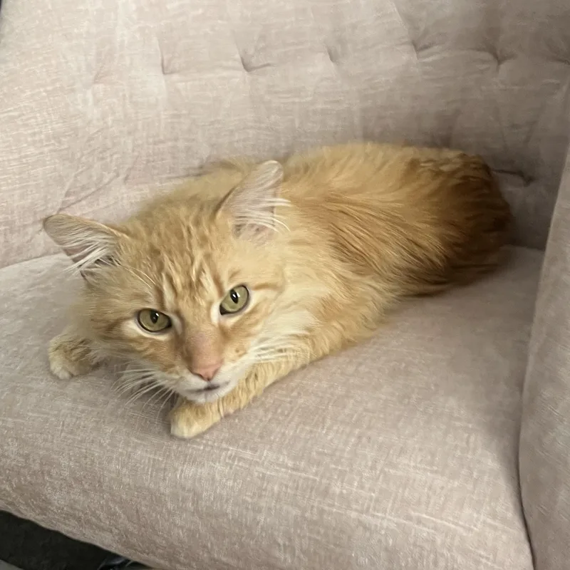 Benjamin thumbnail 2