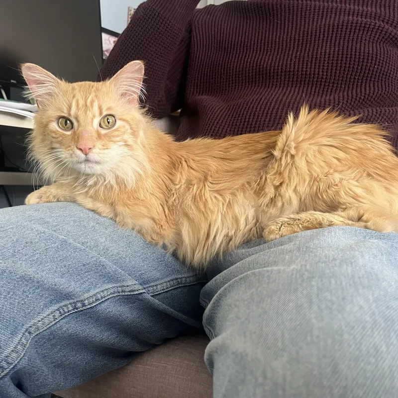 Benjamin thumbnail 3