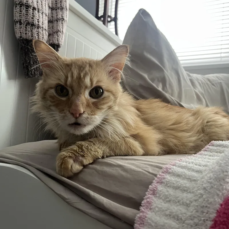 Benjamin thumbnail 5