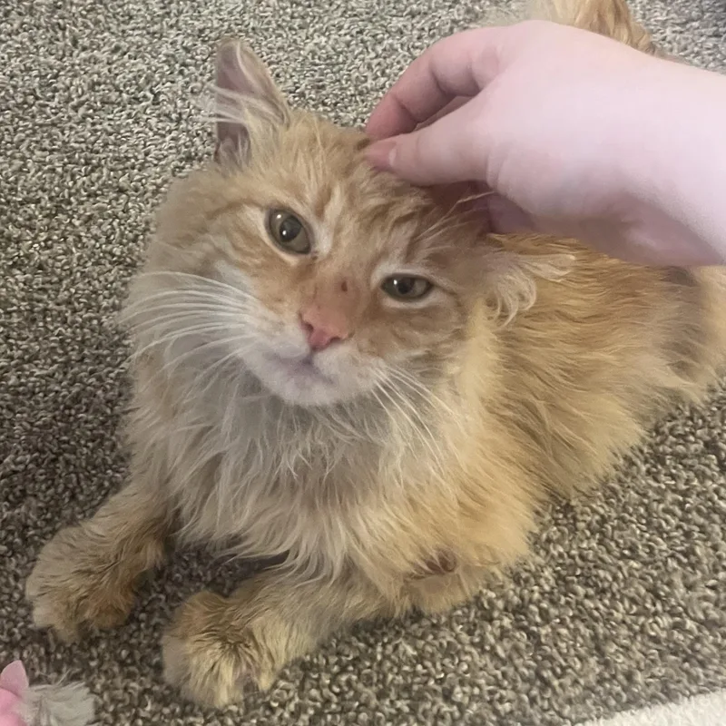 Benjamin thumbnail 6