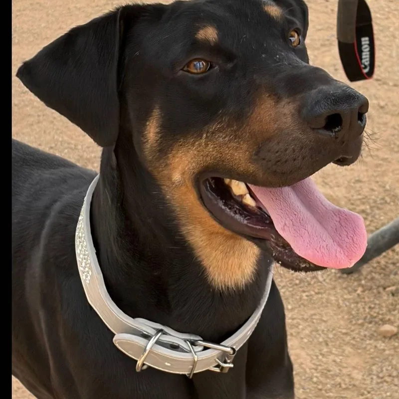 Oscar
