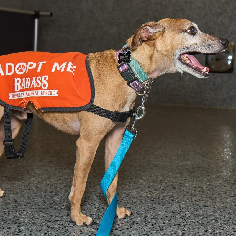 Eddie Kendricks thumbnail 2