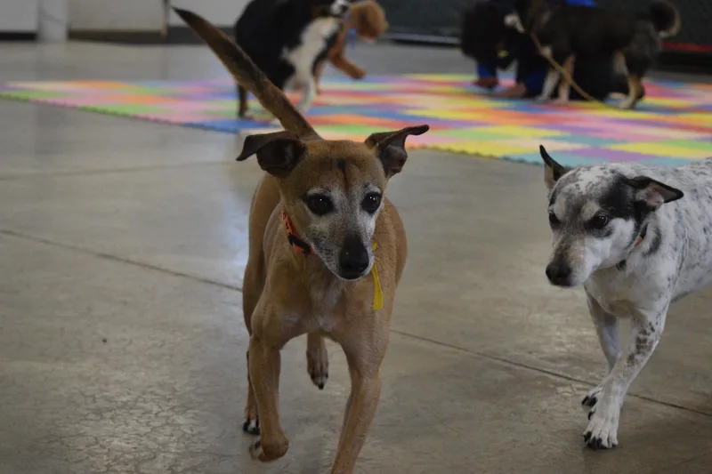 Eddie Kendricks thumbnail 3