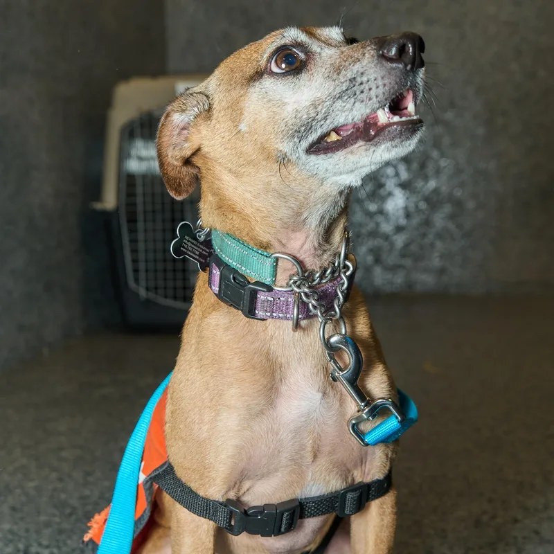 Eddie Kendricks thumbnail 5