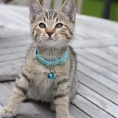 Milo