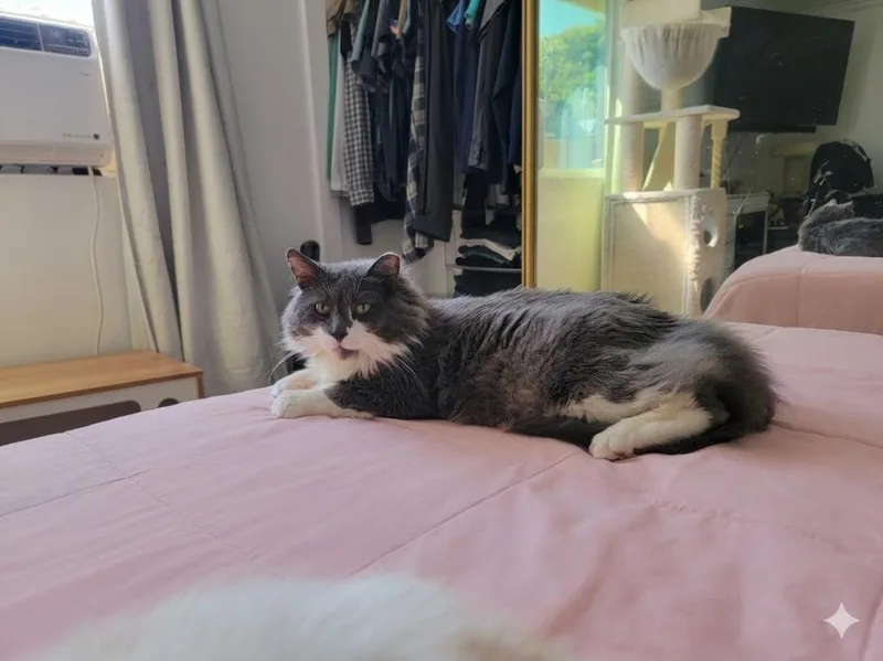 Andy thumbnail 5