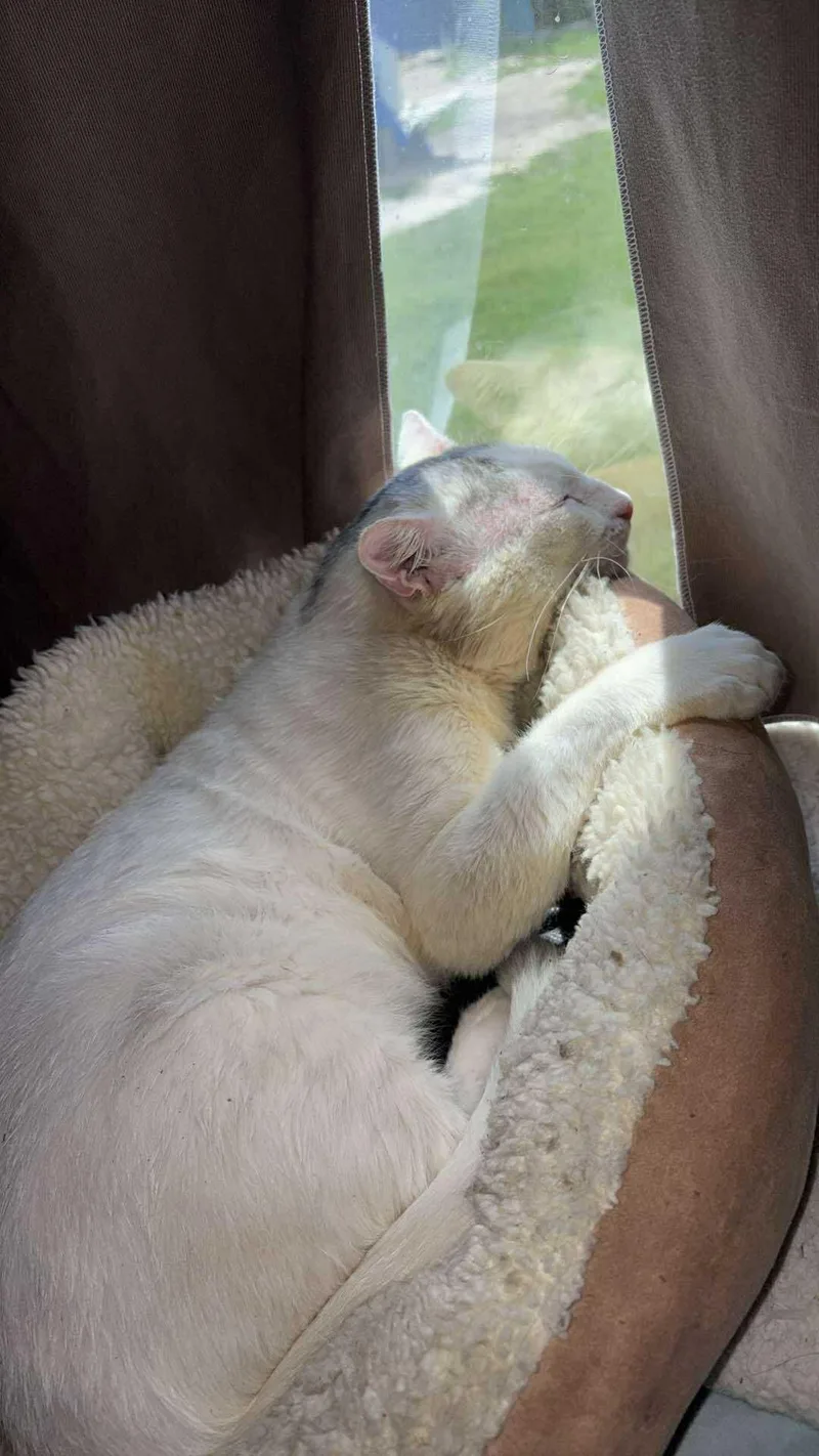 Gideon Elias thumbnail 2