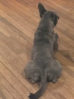 Farley Calm Gentle Blue thumbnail 2