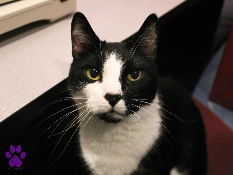 Sunshine thumbnail 2