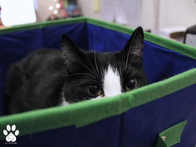 Sunshine thumbnail 4