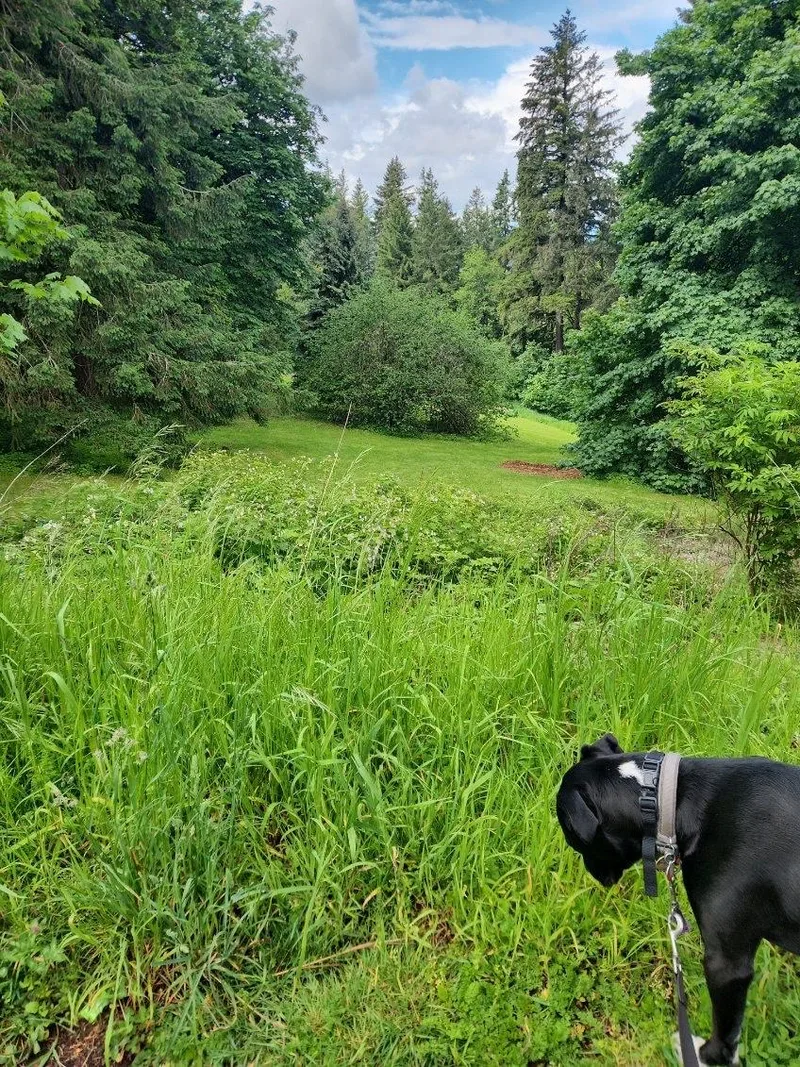 Johnny Depp thumbnail 2