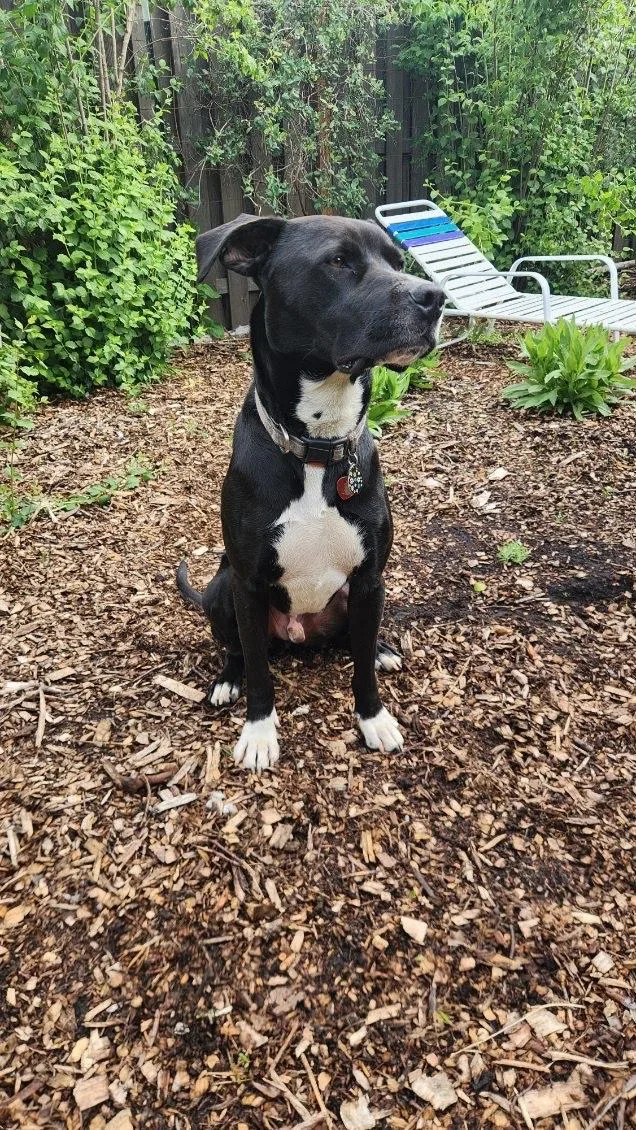 Johnny Depp thumbnail 3