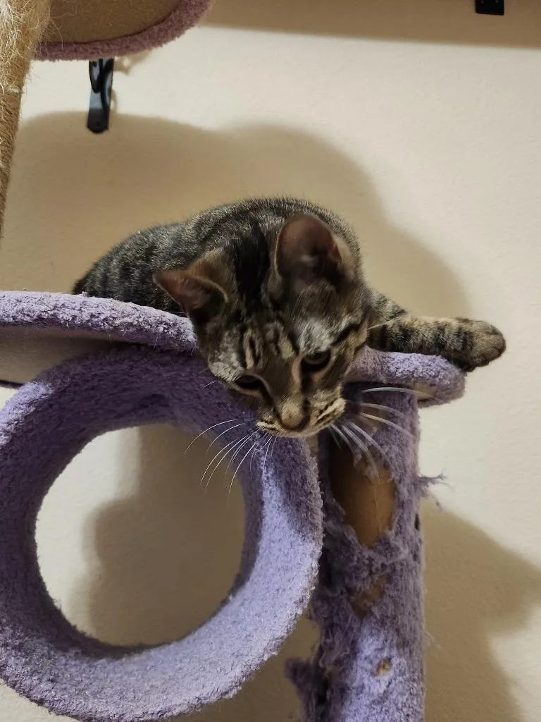 Zoey