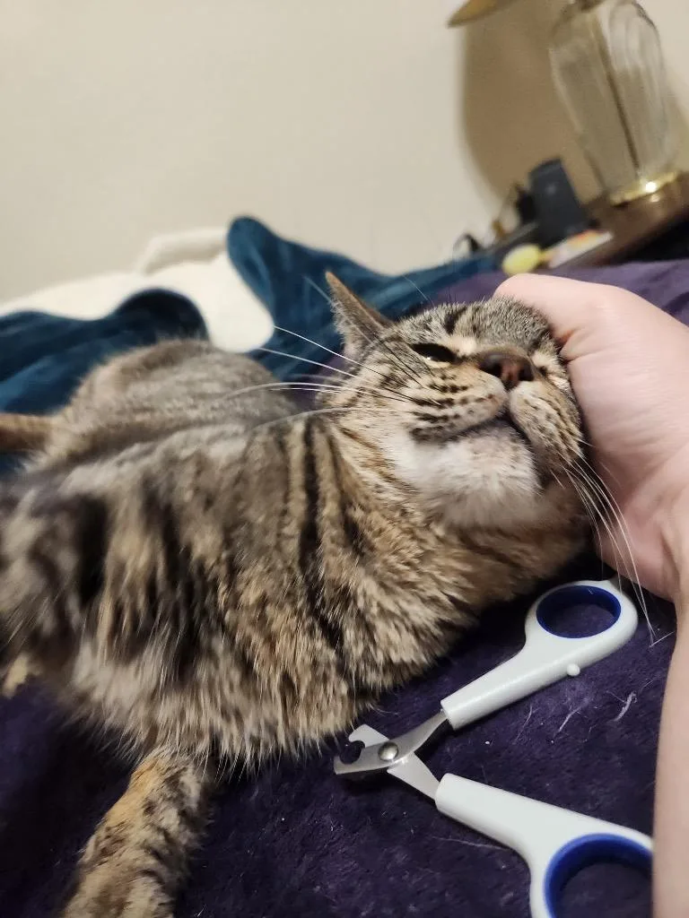 Zoey thumbnail 3