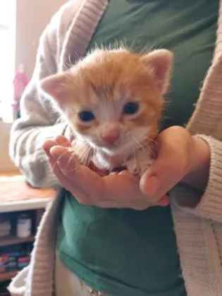 Baby Boots thumbnail 2