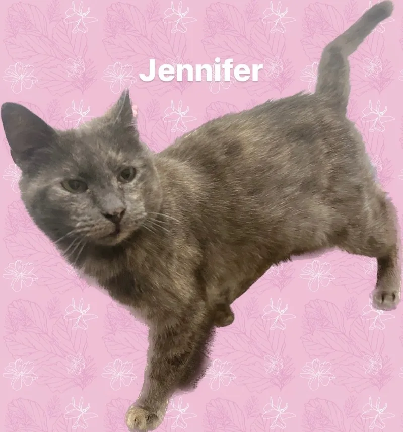 Jennifer thumbnail 4