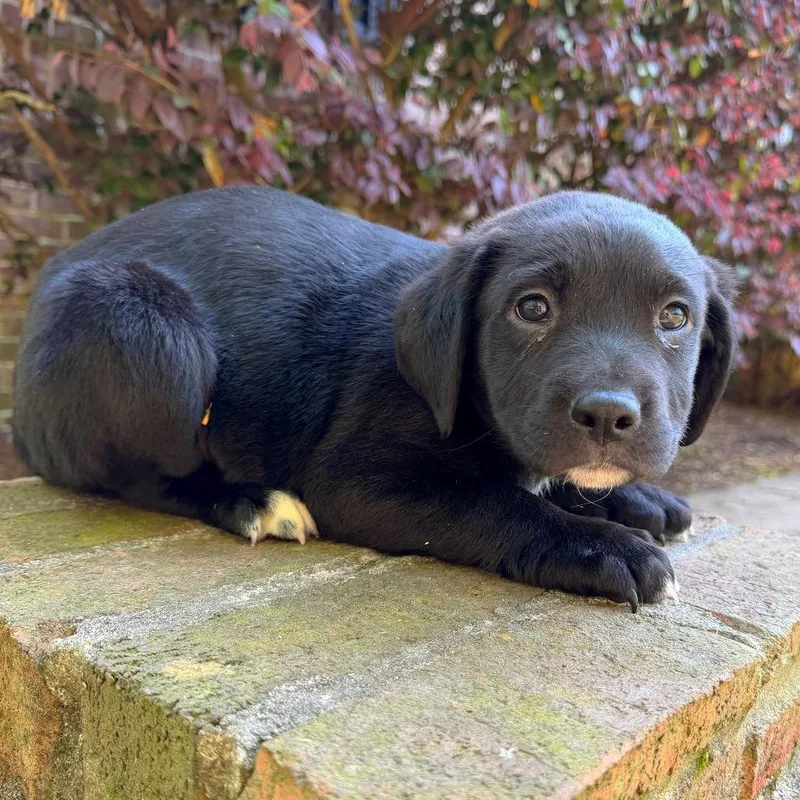 Hey There Delilah thumbnail 2