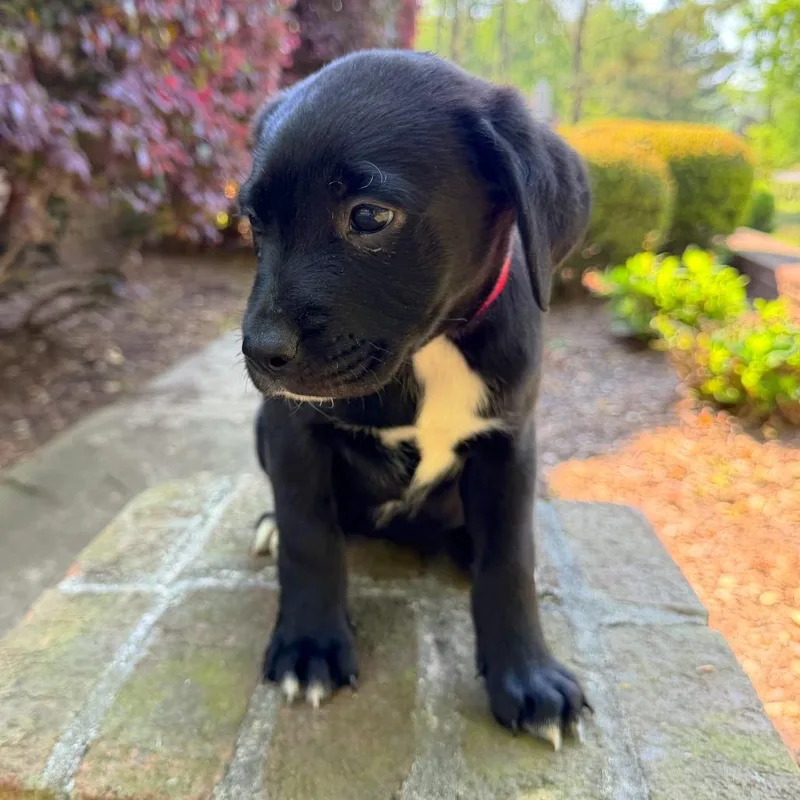 Hey There Delilah thumbnail 3