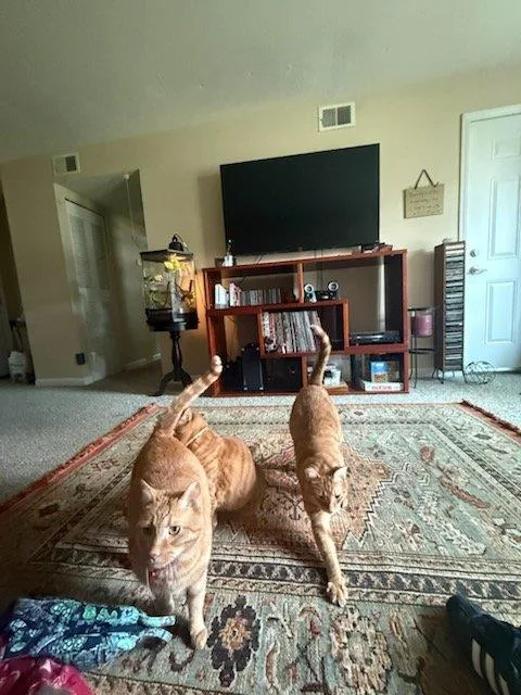 Ollie and Sasha thumbnail 3