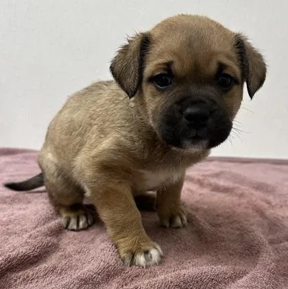 Didi Hill thumbnail 2