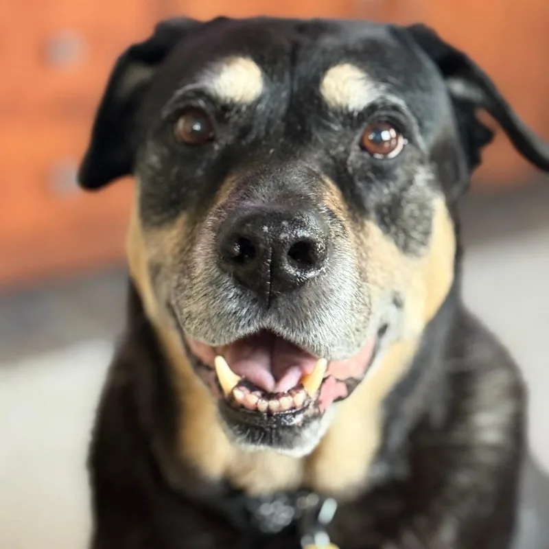 Georgina thumbnail 2