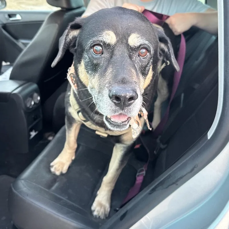 Georgina thumbnail 3