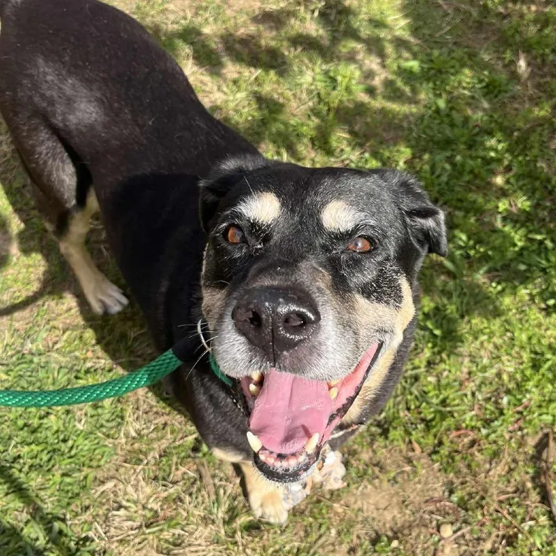 Georgina thumbnail 4