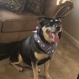 Georgina thumbnail 5