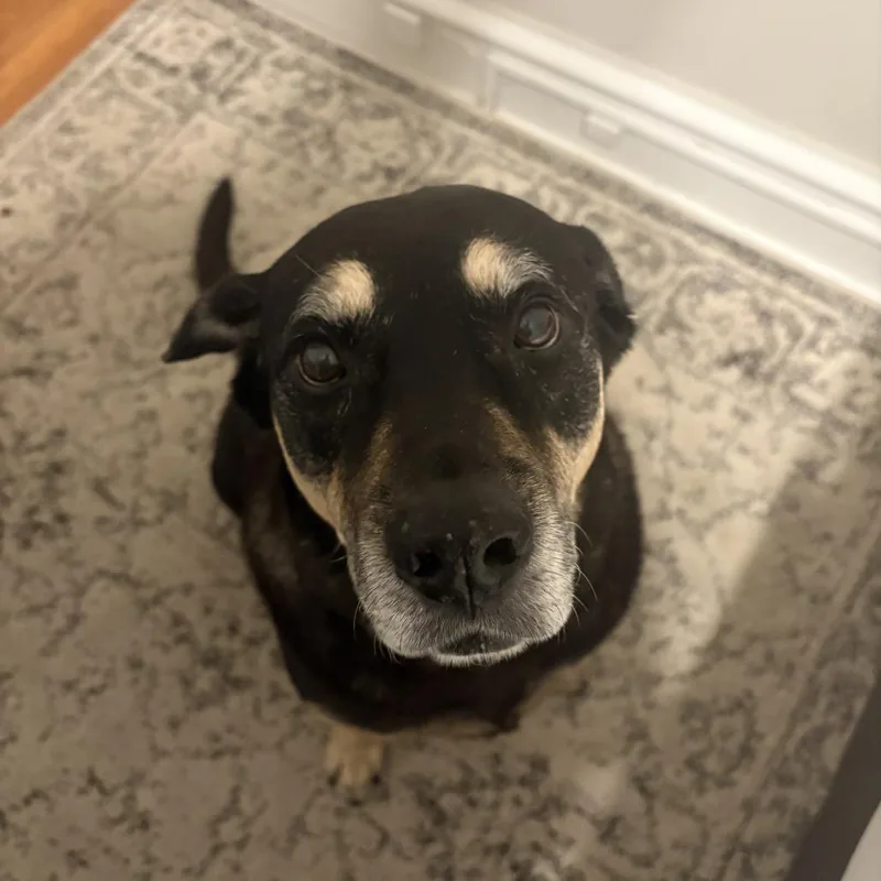 Georgina thumbnail 6