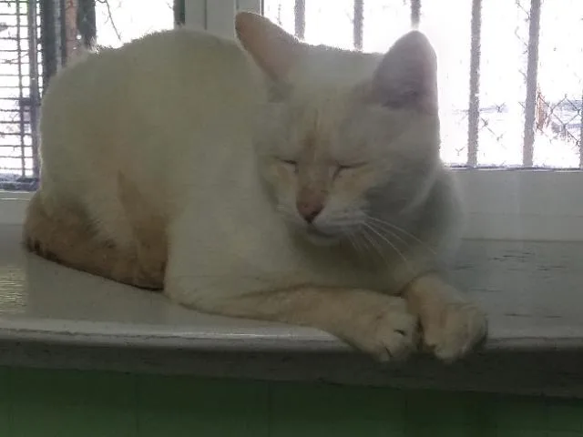 Horatio thumbnail 2