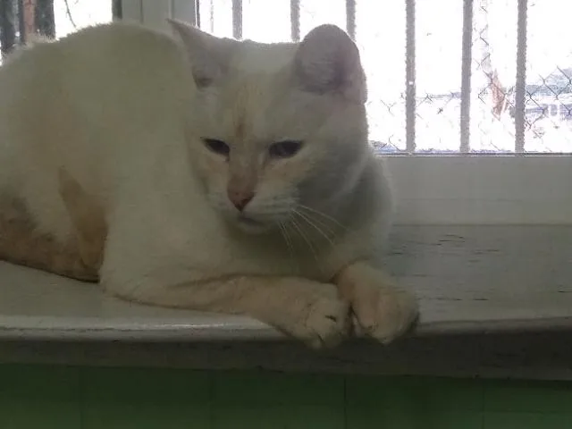 Horatio thumbnail 3